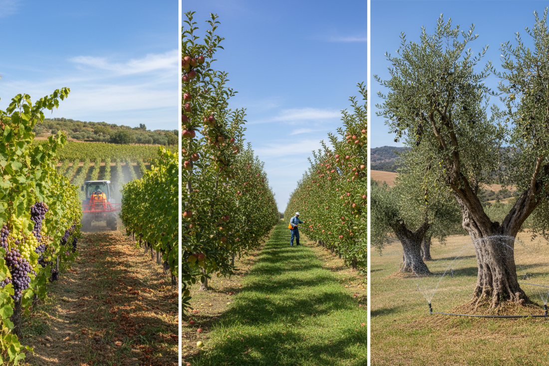 Guía de tratamientos fitosanitarios por cultivo: viñedo, frutales y olivos