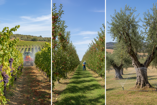 Guía de tratamientos fitosanitarios por cultivo: viñedo, frutales y olivos