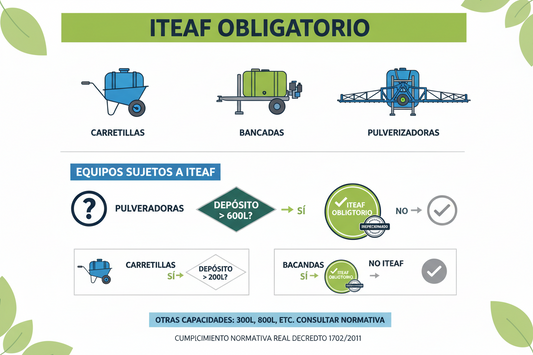 ITEAF: Qué es, Para Qué Sirve y Quién lo Necesita