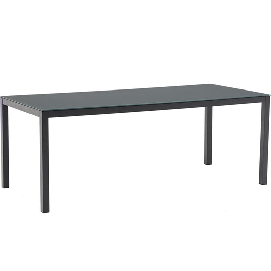Mesa de comedor Adin 200*90 cm aluminio y  cristal antracita